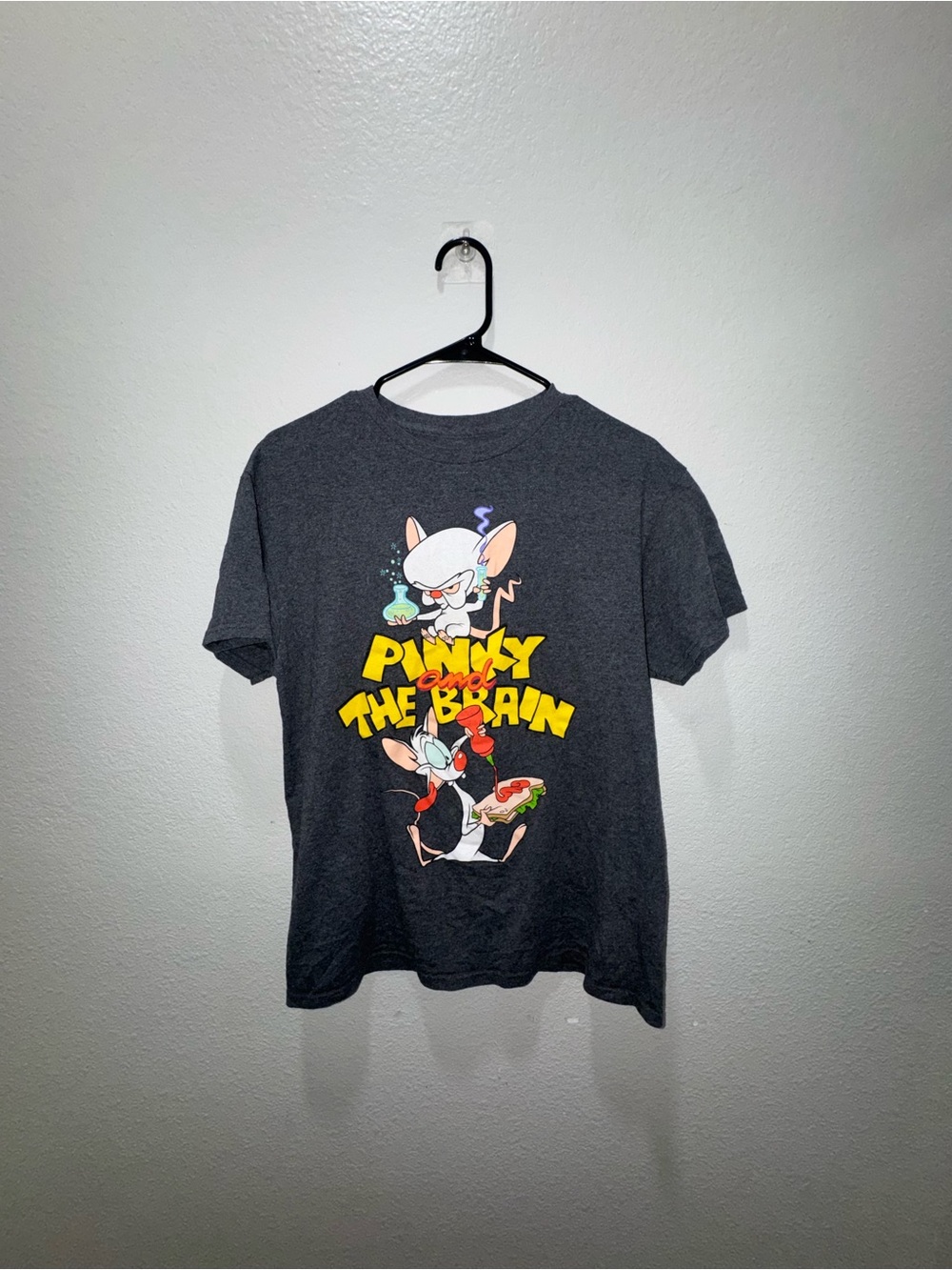 Warner Bros. Pinky and the Brain Graphic Tee - Charcoal